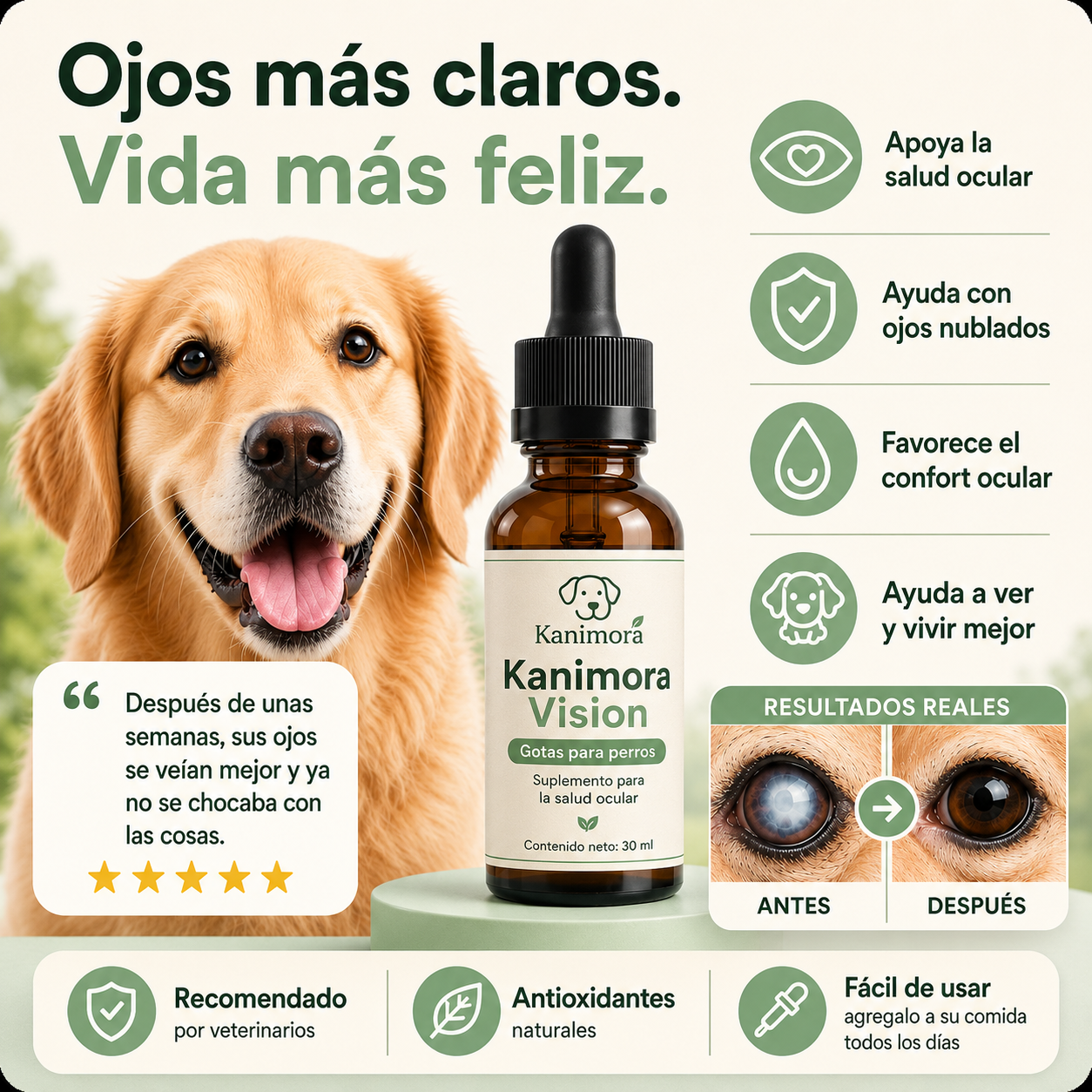 Ayude a su perro a ver con claridad de nuevo