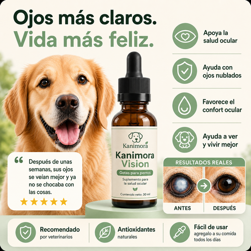 Ayude a su perro a ver con claridad de nuevo