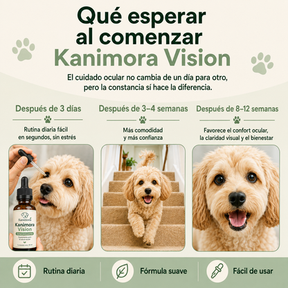 Ayude a su perro a ver con claridad de nuevo