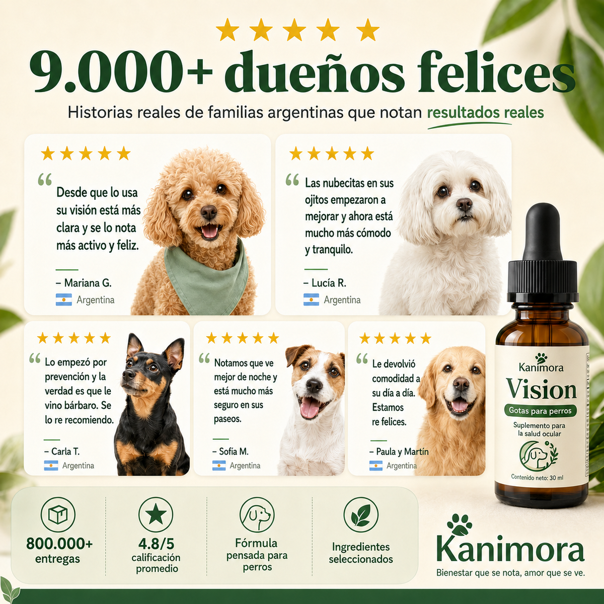 Ayude a su perro a ver con claridad de nuevo
