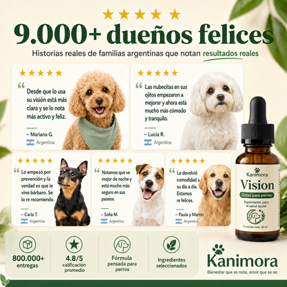 Ayude a su perro a ver con claridad de nuevo