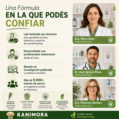 Ayude a su perro a ver con claridad de nuevo