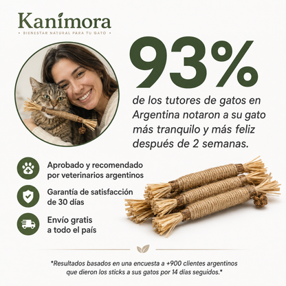 Sticks Naturales de Silvervine para Gatos – Kanimora™