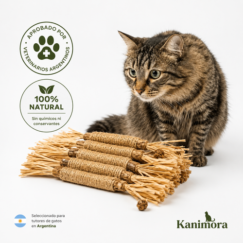 Sticks Naturales de Silvervine para Gatos – Kanimora™