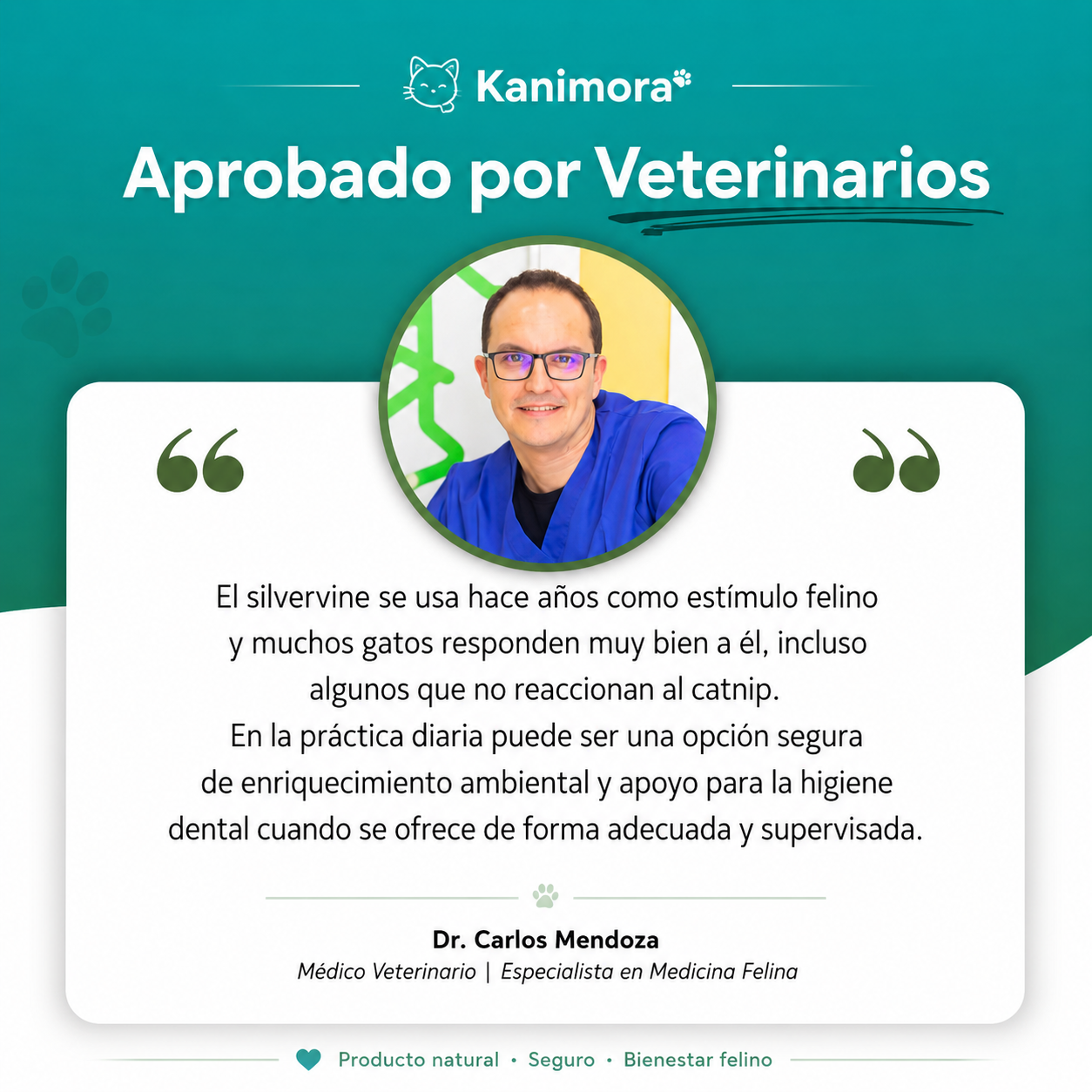 Sticks Naturales de Silvervine para Gatos – Kanimora™