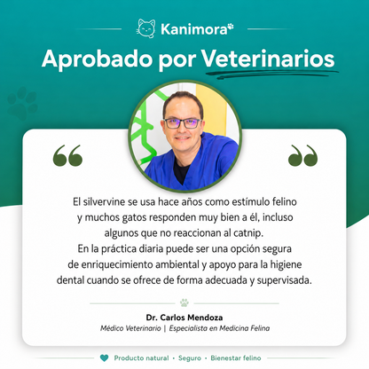 Sticks Naturales de Silvervine para Gatos – Kanimora™