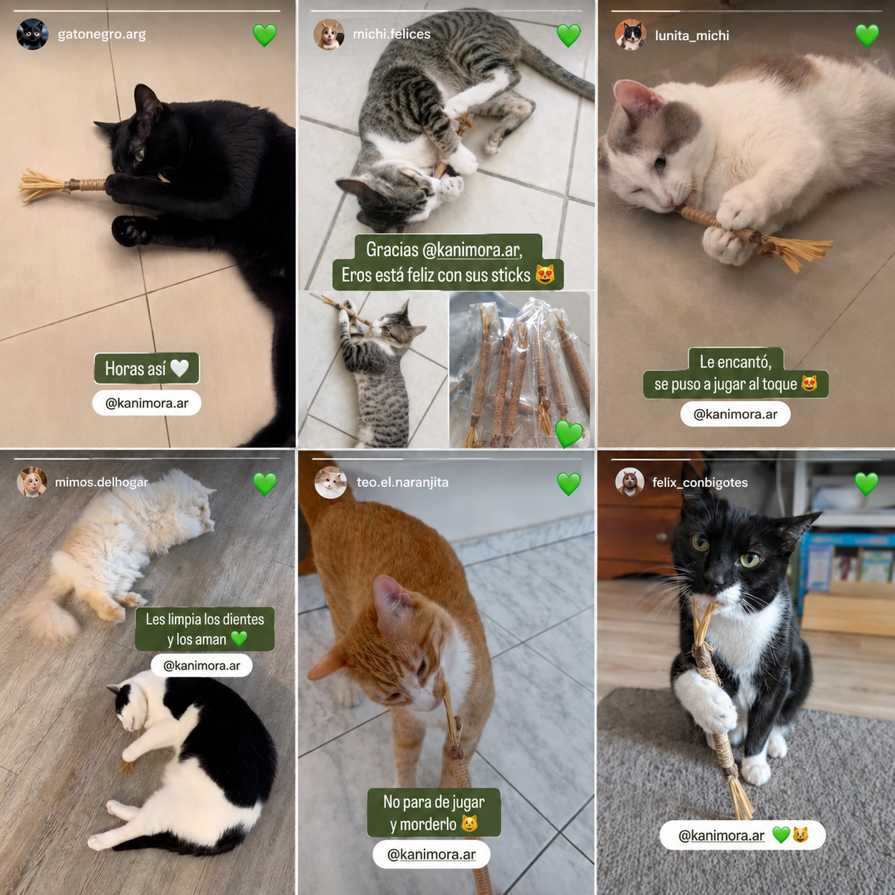 Sticks Naturales de Silvervine para Gatos – Kanimora™