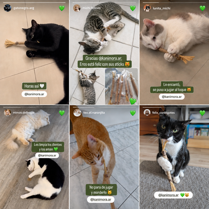 Sticks Naturales de Silvervine para Gatos – Kanimora™