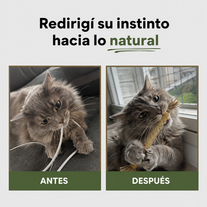 Sticks Naturales de Silvervine para Gatos – Kanimora™