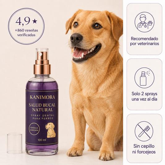 Spray dental para perros sin anestesia ni cepillado